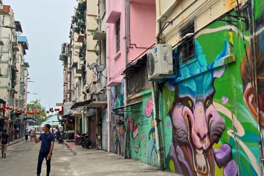 A narrow street with colorful buildings, a mural of a lion, and a person walking. 1