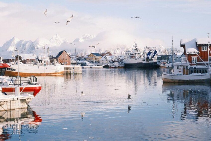 A harbor with boats, a wooden house, and snow-covered mountains in the background. 3