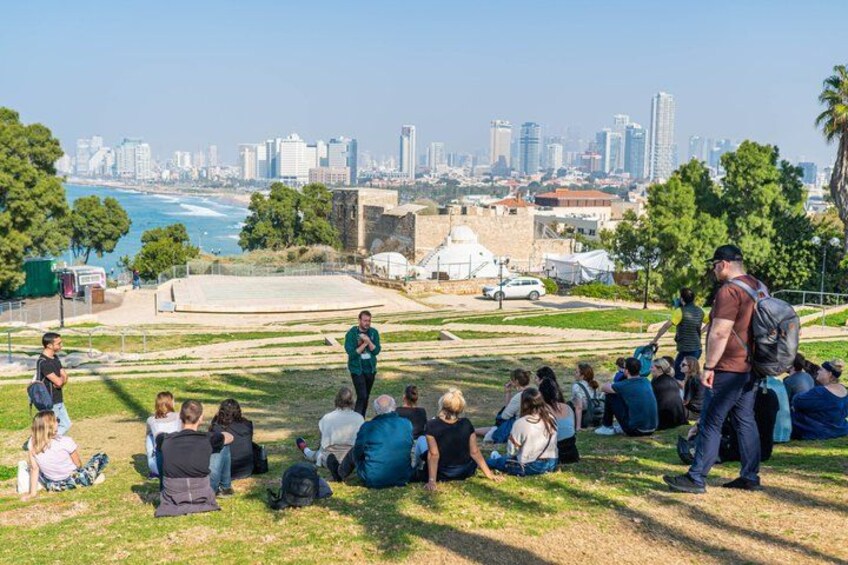 A group of people sitting on grass in a park with a city skyline in the background. 1