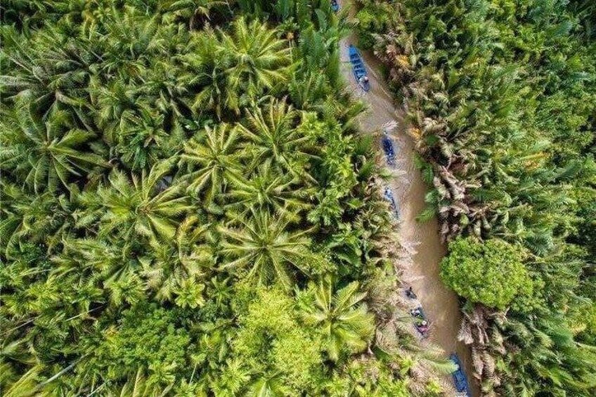 A dense tropical forest with a narrow dirt path. 2