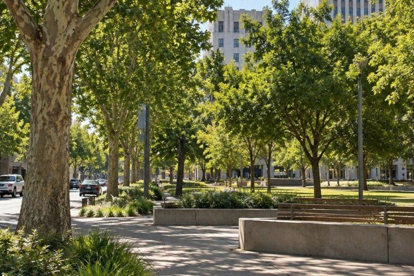 A tree-lined urban street with parked cars and a building in the background. 5