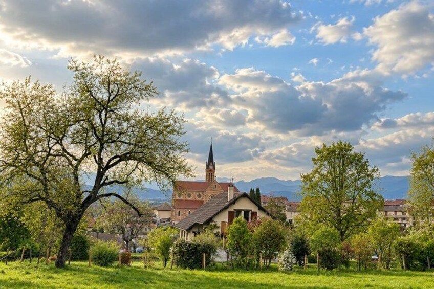 A church with a tall spire, surrounded by trees and a grassy area. 5