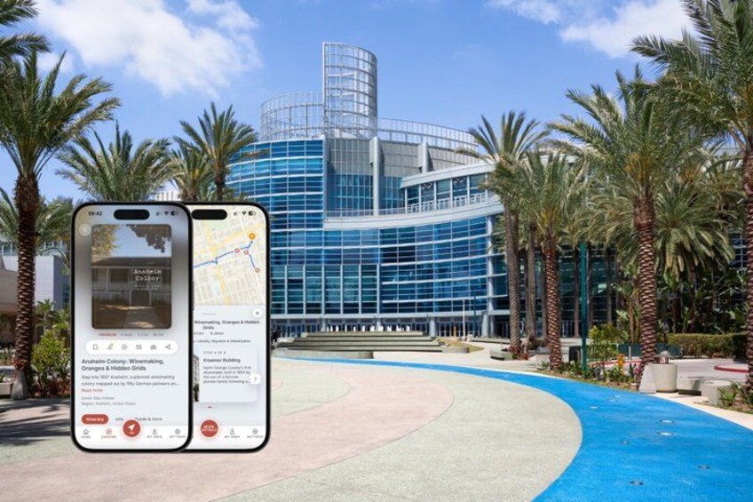 A modern building with a glass facade, palm trees, and a blue pathway. 1