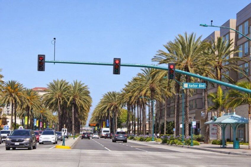 A street intersection with traffic lights, palm trees, and buildings. 5