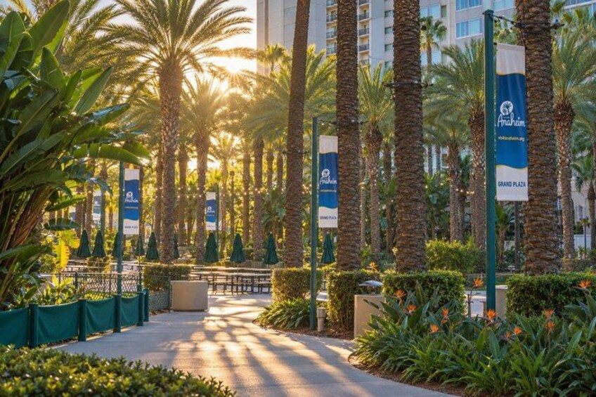 A pathway lined with palm trees and greenery, leading to a building with a sign that reads 'Grand Plaza.' 4