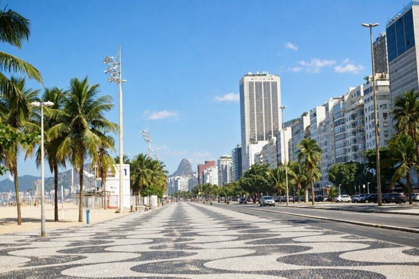 A wide urban street lined with palm trees and tall buildings, with a clear sky. 5