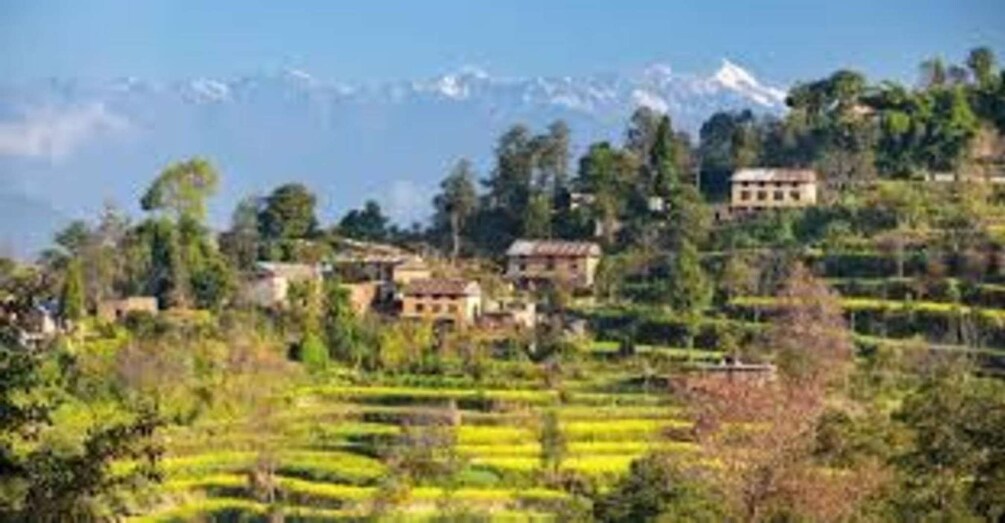 Des terrasses cultivées, des maisons et une chaîne de montagnes. 3