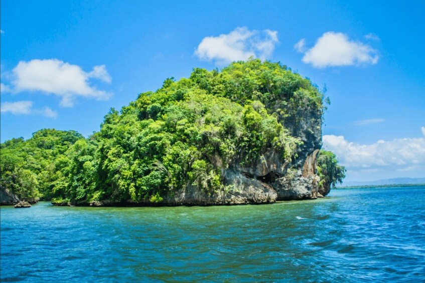 A lush green island surrounded by clear blue water. 2