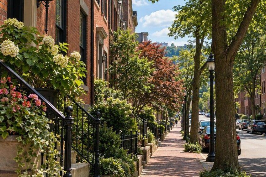 A tree-lined urban street with brick buildings, a sidewalk, and parked cars. 5