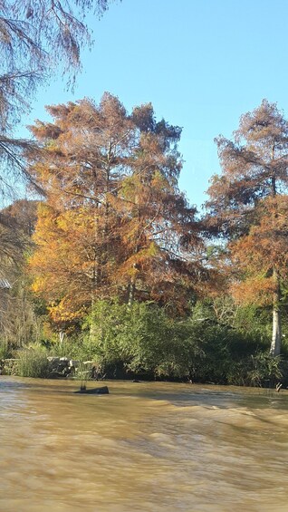 A river with autumn-colored trees and a stone bridge. 2