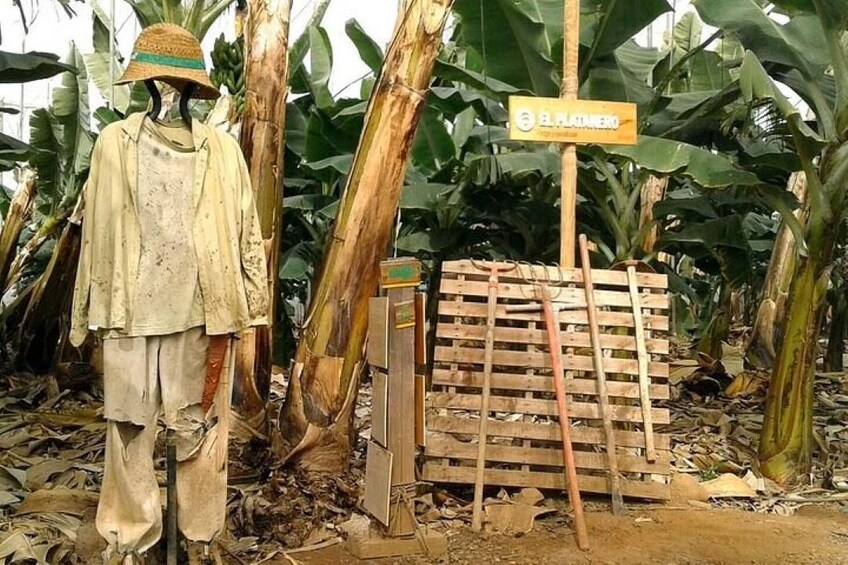 A mannequin dressed in traditional attire, a wooden gate, and banana plants in the background. 5