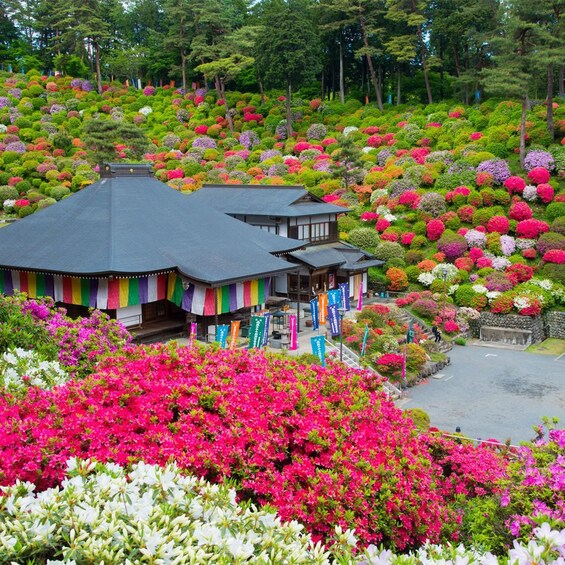 A traditional Japanese building surrounded by vibrant azaleas and other flowering plants. 4