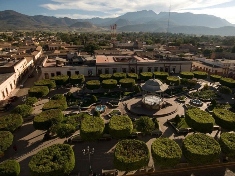 Talpa and Mascota, the Real Mexican Heritage