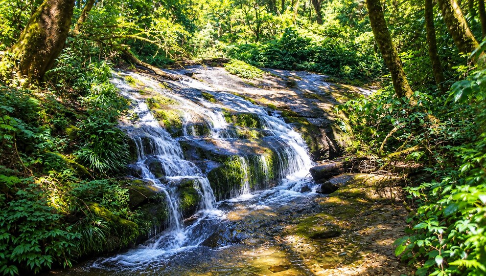 Doi Inthanon National Park Experience - Thailand’s Highest Peak 4