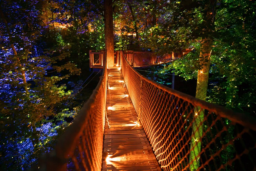 A wooden suspension bridge with lights, surrounded by trees. 5