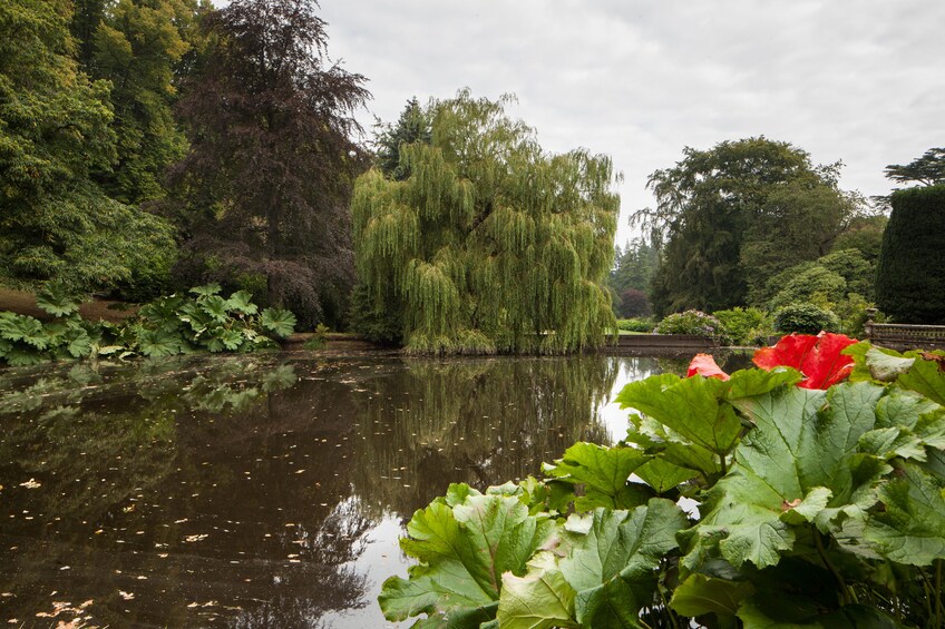 Hillsborough Castle and Gardens - Gardens only