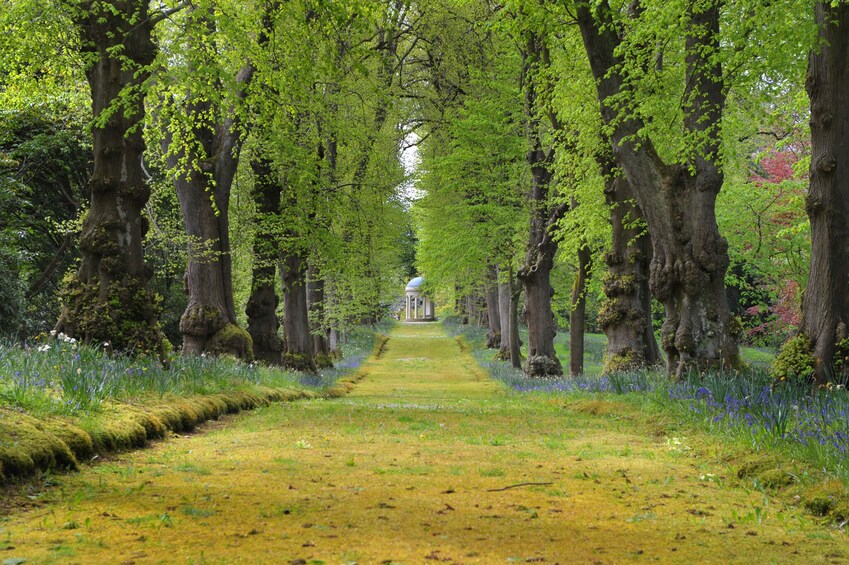 Hillsborough Castle and Gardens - Gardens only