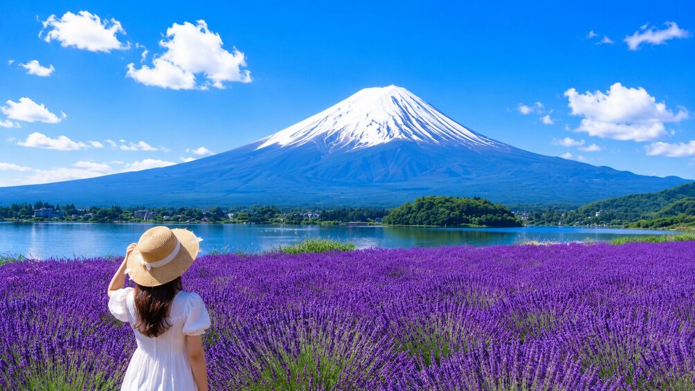 Tokyo: Mt. Fuji, Chureito Pagoda, Oshino Hakkai & Oishi Park 5