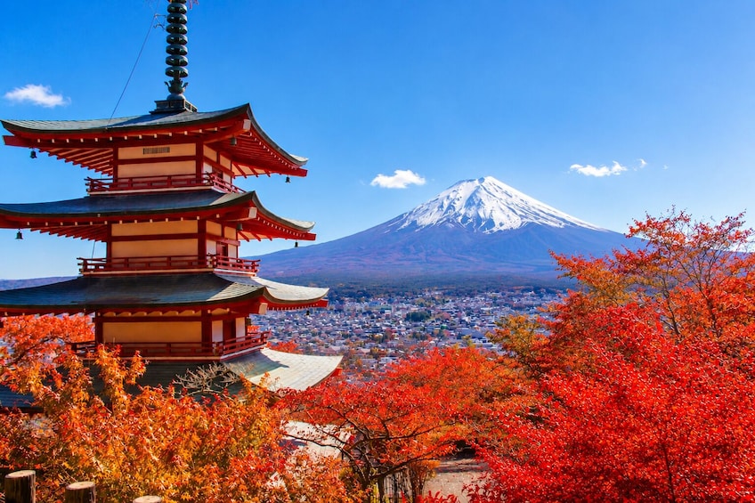 A traditional Japanese pagoda, Mount Fuji, and autumn foliage. 1