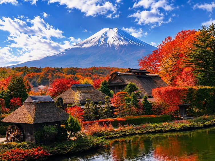 Tokyo: Mt. Fuji, Chureito Pagoda, Oshino Hakkai & Oishi Park 4