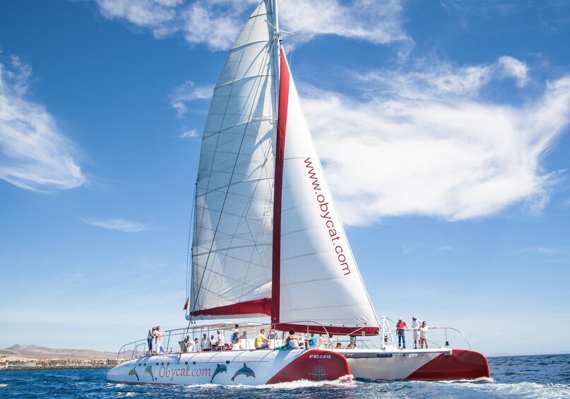 Catamaran sailing experience from Caleta de Fuste