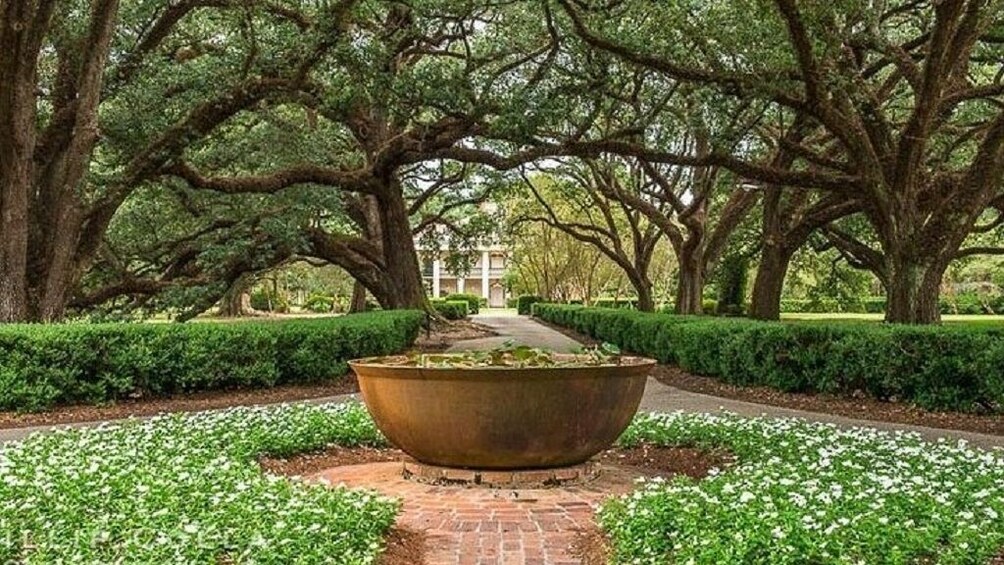 Guided Oak Alley Plantation & 3-Hour City Tour Combo