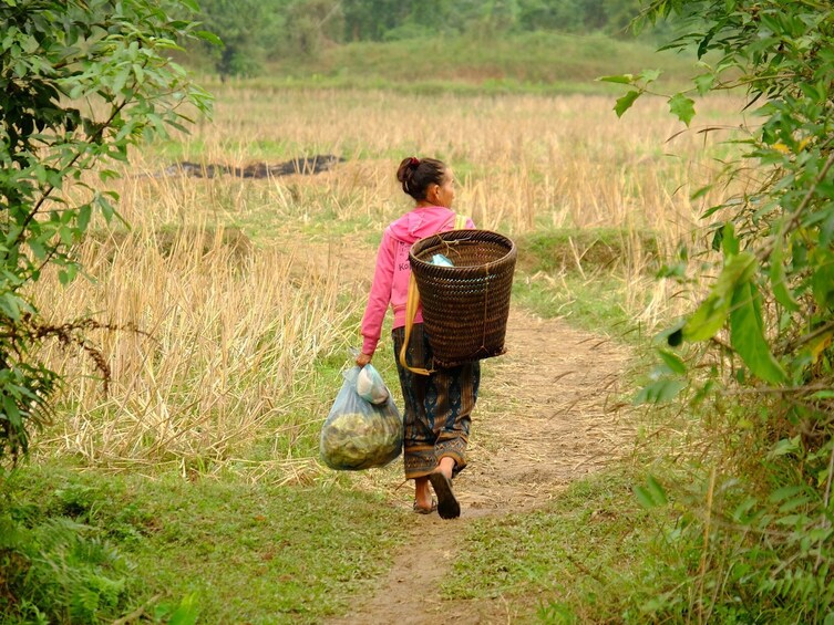 Woman carries large basket through fields of Vang Vieng