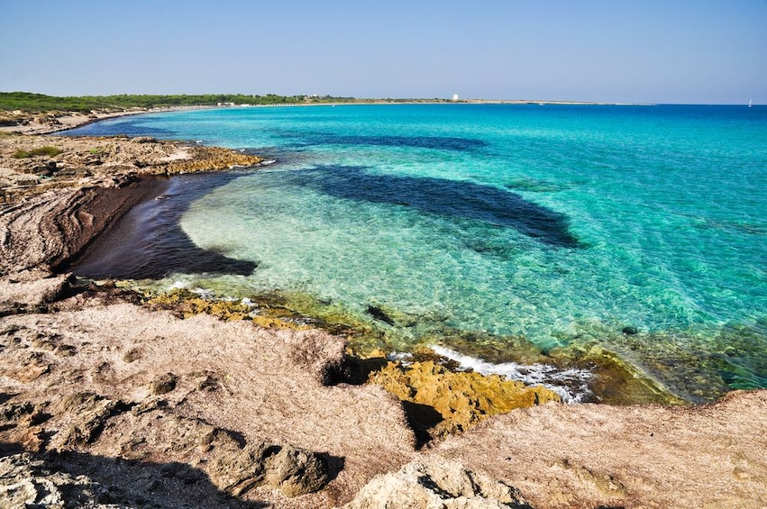 Rocky beach of Punta della Suina