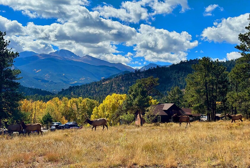 Rocky Mountain National Park Hiking  2