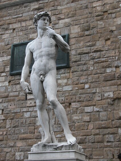 Copy of Michelangelo's David in Piazza della Signoria 4