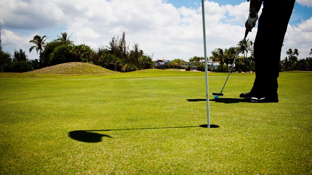 Closeup of golfer putting on the green 5