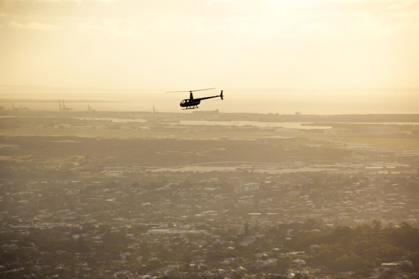 Brisbane City Tour For One