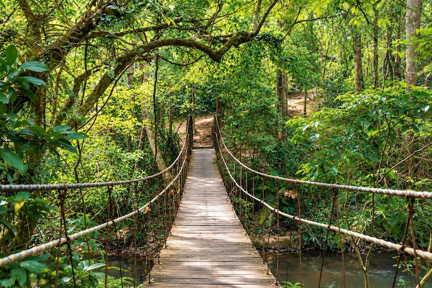 Khao Yai Uncovered: Hiking, Wildlife & Waterfalls 4