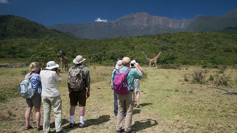 ARUSHA NATIONAL PARK DAY TOUR            