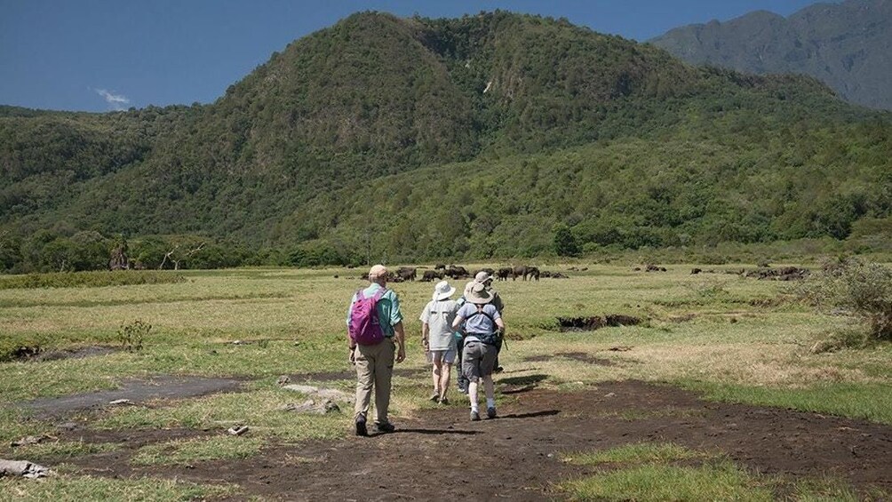 ARUSHA NATIONAL PARK DAY TOUR            