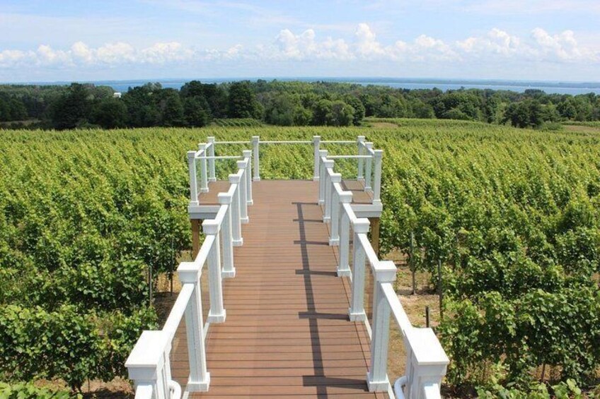 Bry's Estate Winery 5