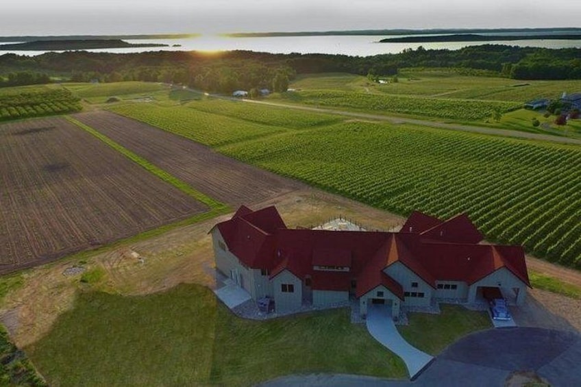 Bonobo Vineyards 5