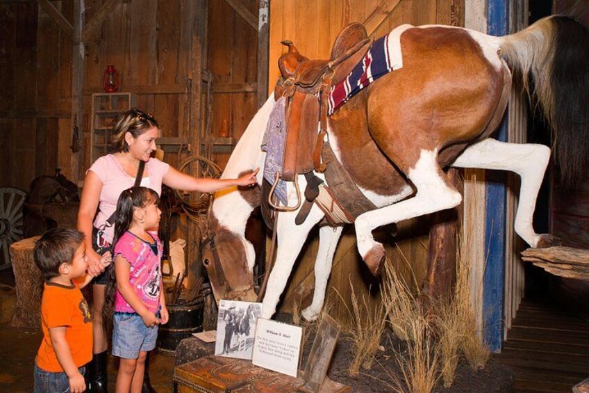 The Buckhorn Saloon & Museum and Texas Ranger Museum Admission 3