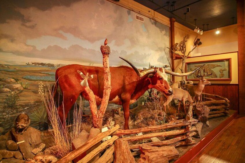 The Buckhorn Saloon & Museum and Texas Ranger Museum Admission 2