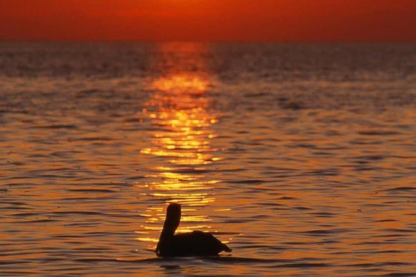 Sunset Cruise South Padre Island 2