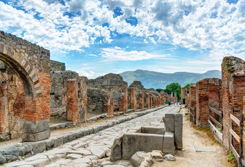 Day Trip to Pompeii from Naples 2