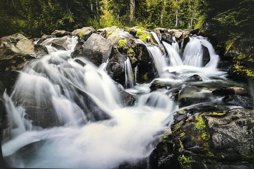 paradise river 2