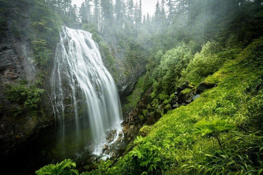 Una cascada fluye por una ladera verde y exuberante, rodeada de bosque denso. 1