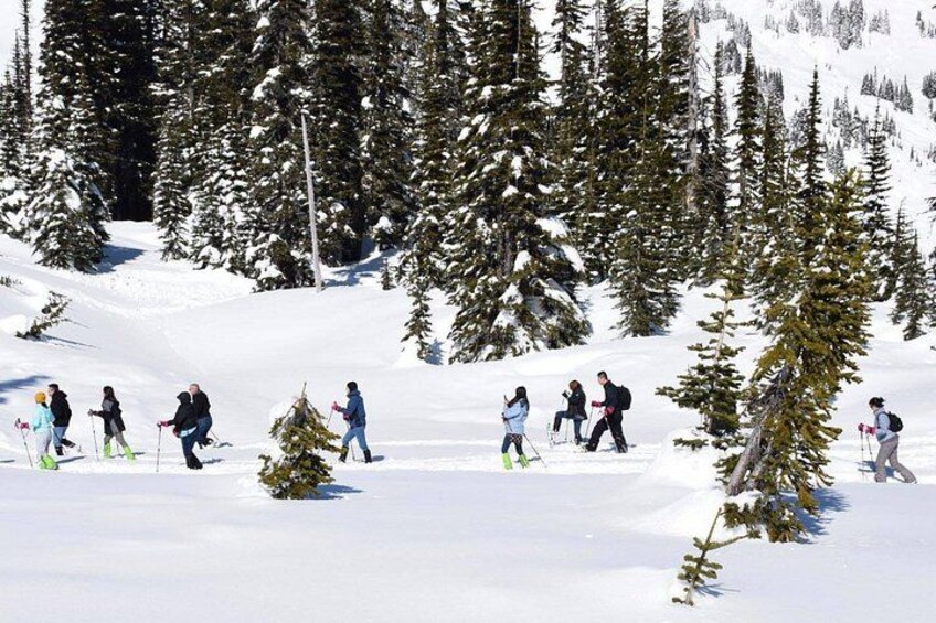 Snowshoeing till May! 2