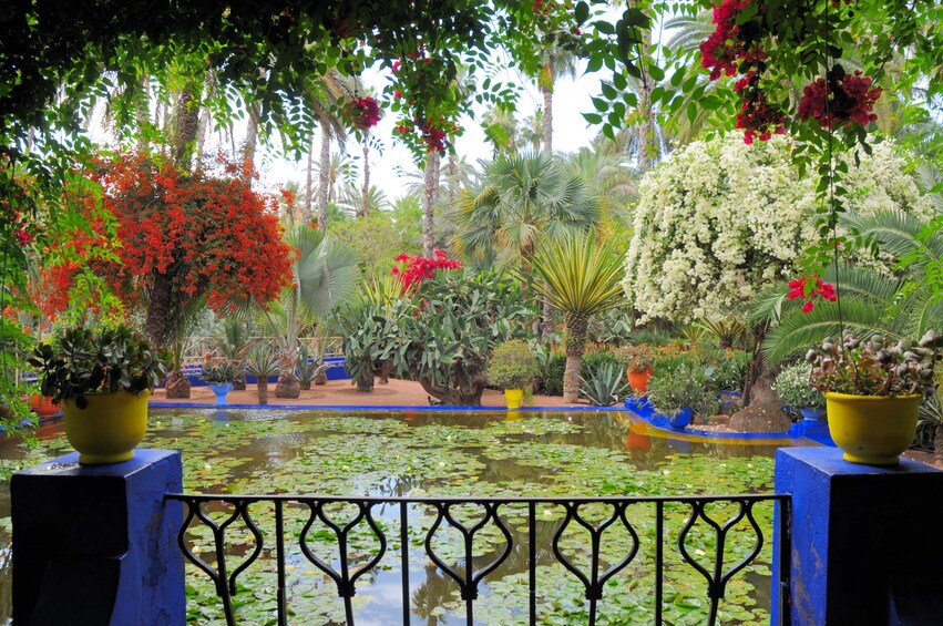 A lush garden with a pond, various plants, and a decorative fence. 5