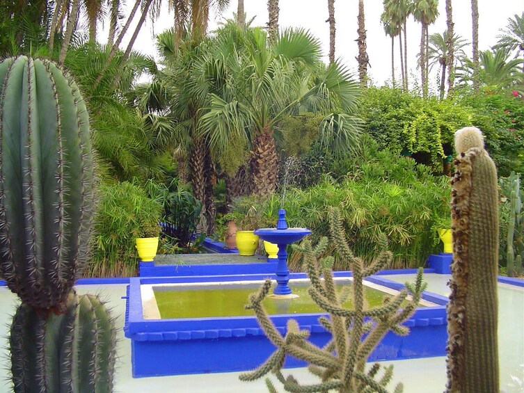 A blue and yellow fountain surrounded by cacti and palm trees in a garden. 4