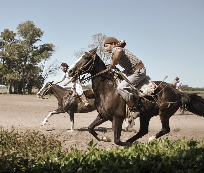 Combo Buenos Aires: City Tour + Gaucho Experience