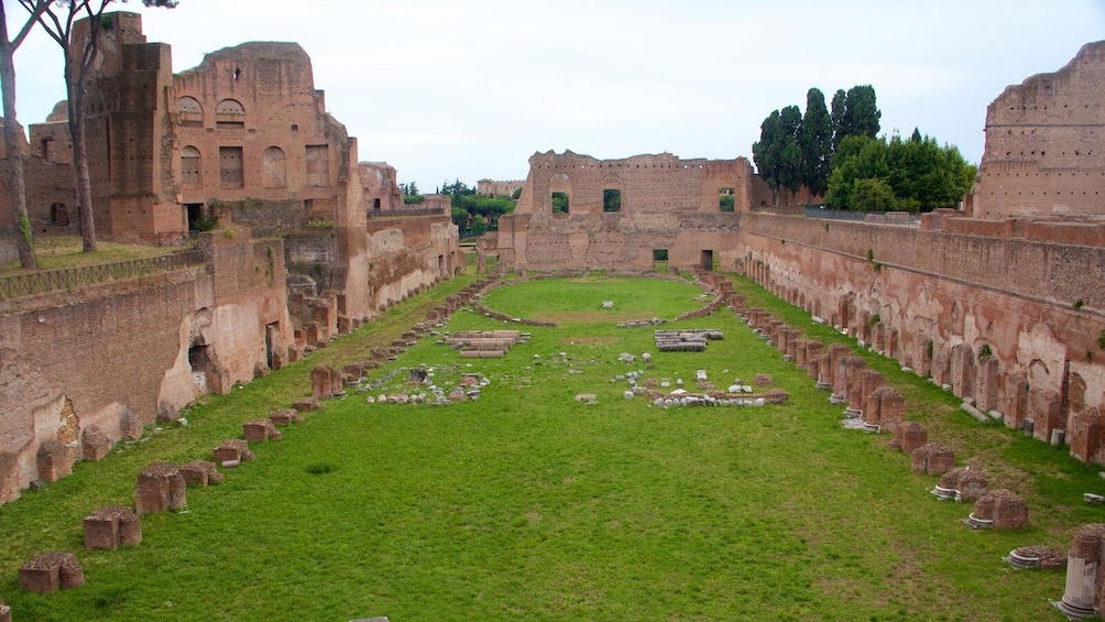 Rome: Colosseum Access with Official AI App & Arena Option 4