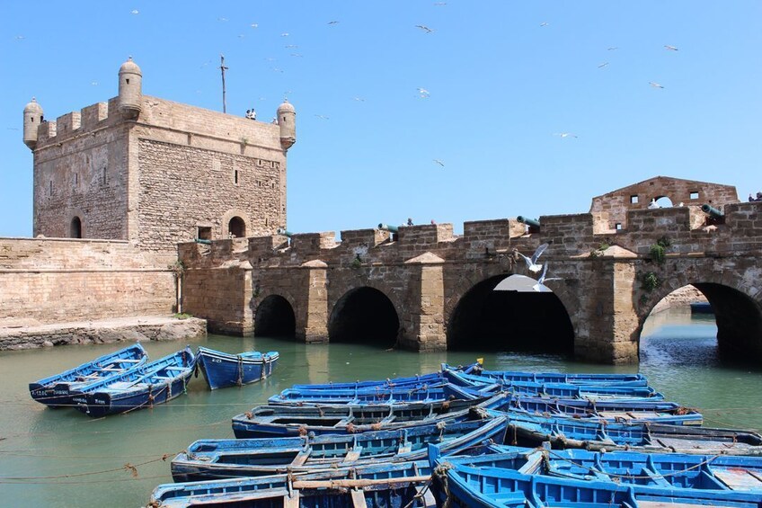 Essaouira & Atlantic Coast Full-Day Tour from Marrakech 5