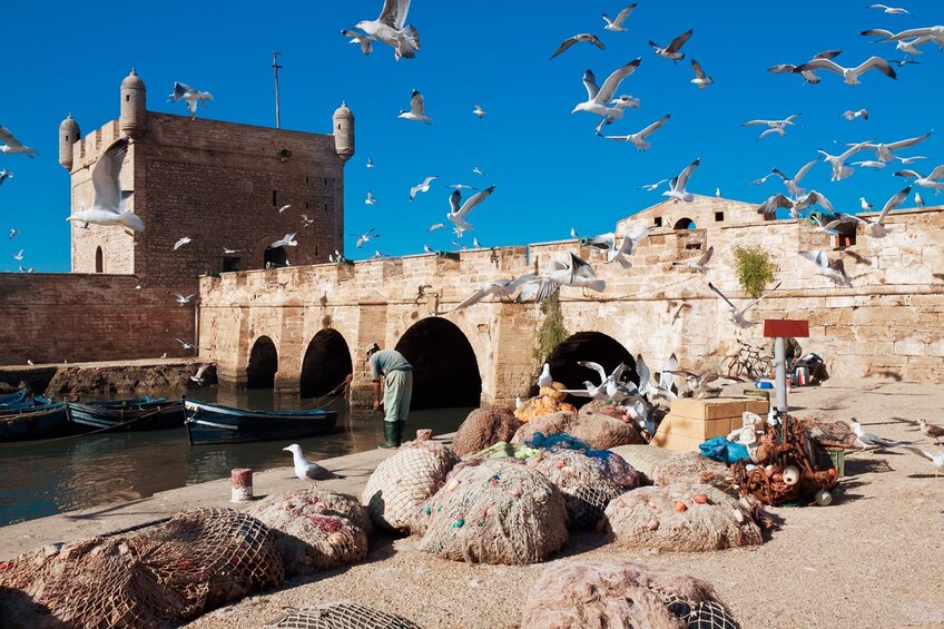 Essaouira & Atlantic Coast Full-Day Tour from Marrakech 3
